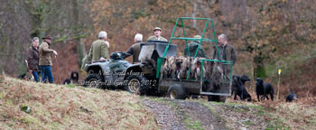 Game Shooting Photography by Betty Fold Gallery